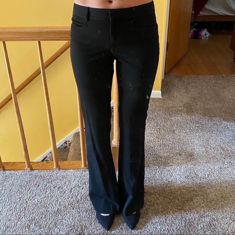 Express flare-leg dress pants